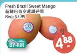 Fresh Palace Supermarket Fresh Brazil Sweet Mango offer