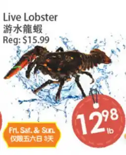 Fresh Palace Supermarket Live Lobster offer