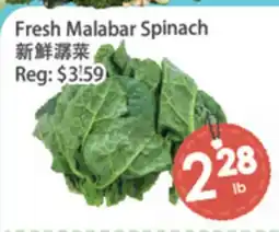 Fresh Palace Supermarket Fresh Malabar Spinach offer