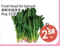 Fresh Palace Supermarket Fresh Head On Spinach offer