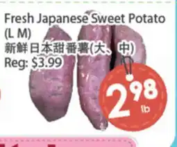 Fresh Palace Supermarket Fresh Japanese Sweet Potato (L M) offer