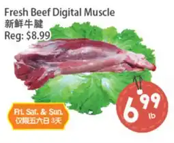 Fresh Palace Supermarket Fresh Beef Digital Muscle offer