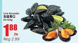 Terra Foodmart Live Mussels offer