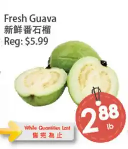 Fresh Palace Supermarket Fresh Guava offer