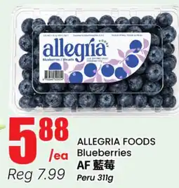 Terra Foodmart ALLEGRIA FOODS Blueberries offer