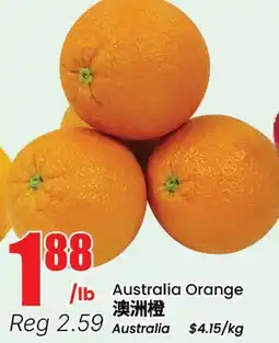 Terra Foodmart Australia Orange offer