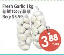 Fresh Palace Supermarket Fresh Garlic offer