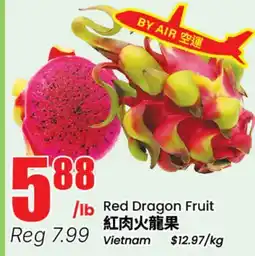 Terra Foodmart Red Dragon Fruit offer