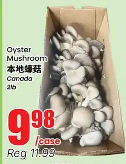 Terra Foodmart Oyster Mushroom offer