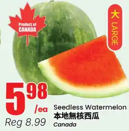 Terra Foodmart Seedless Watermelon offer