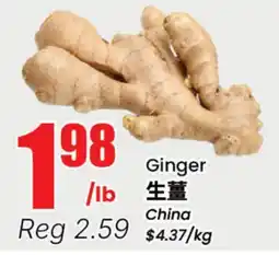 Terra Foodmart Ginger offer