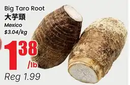 Terra Foodmart Big Taro Root offer