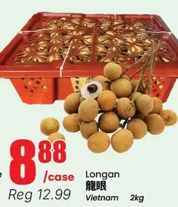 Terra Foodmart Longan offer