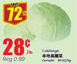 Terra Foodmart Cabbage offer