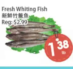 Fresh Palace Supermarket Fresh Whiting Fish offer
