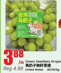 Terra Foodmart Green Seedless Grape offer