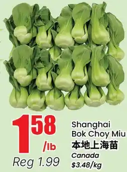Terra Foodmart Shanghai Bok Choy Miu offer