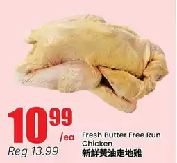 Terra Foodmart Fresh Butter Free Run Chicken offer