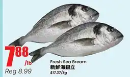 Terra Foodmart Fresh Sea Bream offer