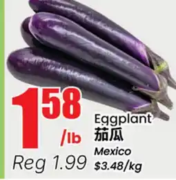 Terra Foodmart Eggplant offer