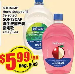 Terra Foodmart SOFTSOAP Hand Soap refill offer