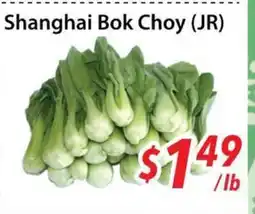 Bestco Food Mart Shanghai Bok Choy (JR) offer