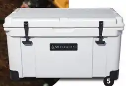 Canadian Tire ARCTIC ROTO-MOULDED COOLER offer