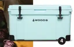 Canadian Tire ARCTIC ROTO-MOULDED COOLER offer