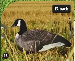 Canadian Tire DIRTY DOZEN FULLY FLOCKED CANADA GOOSE DECOYS, 13-PK offer