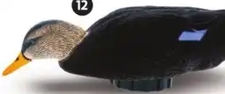 Canadian Tire POWER SHAKER BLACK DUCK SURFACE FEEDER offer