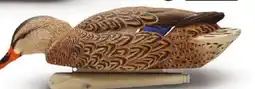 Canadian Tire TOPFLIGHT EARLY SEASON HUNTING MALLARD DECOYS offer
