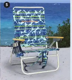 Canadian Tire EASY-IN EASY-OUT BACKPACK CHAIR offer