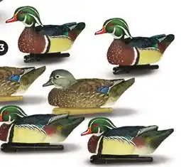 Canadian Tire TOPFLIGHT WOOD DUCKS, 6-PK offer