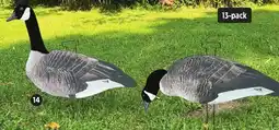 Canadian Tire DIRTY DOZEN HEAD FLOCKED CANADA GOOSE DECOYS, 13-PK offer