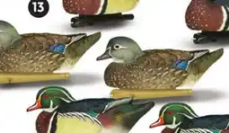 Canadian Tire TOPFLIGHT WOOD DUCKS offer