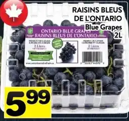 Supermarché PA Ontario blue grapes offer