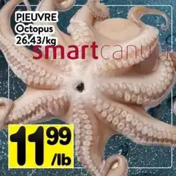 Supermarché PA Octopus offer