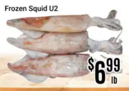 Nations Fresh Foods Frozen Squid U2 offer