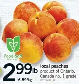 Fortinos Foodland local peaches offer