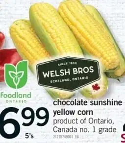 Fortinos welsh bros chocolate sunshine yellow corn offer