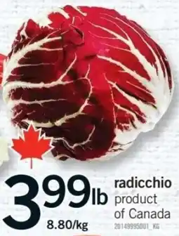 Fortinos radicchio offer