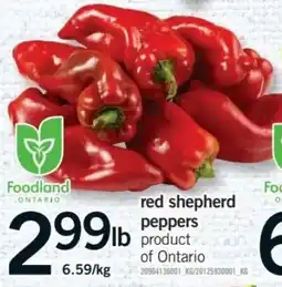 Fortinos Foodland red shepherd peppers offer