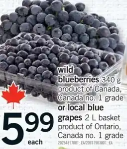 Fortinos wild blueberries offer
