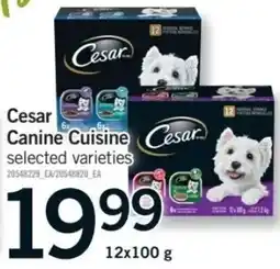 Fortinos Cesar Canine Cuisine selected varieties offer