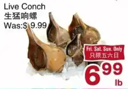 First Choice Supermarket Live Conch offer