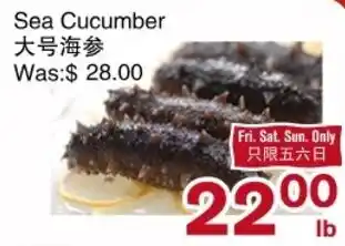 Sea Cucumber