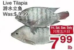 First Choice Supermarket Live Tilapia offer