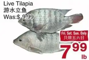 Live Tilapia
