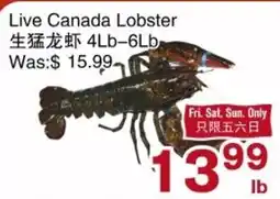 First Choice Supermarket Live Canada Lobster offer