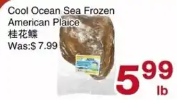 First Choice Supermarket Cool Ocean Sea Frozen American Plaice offer